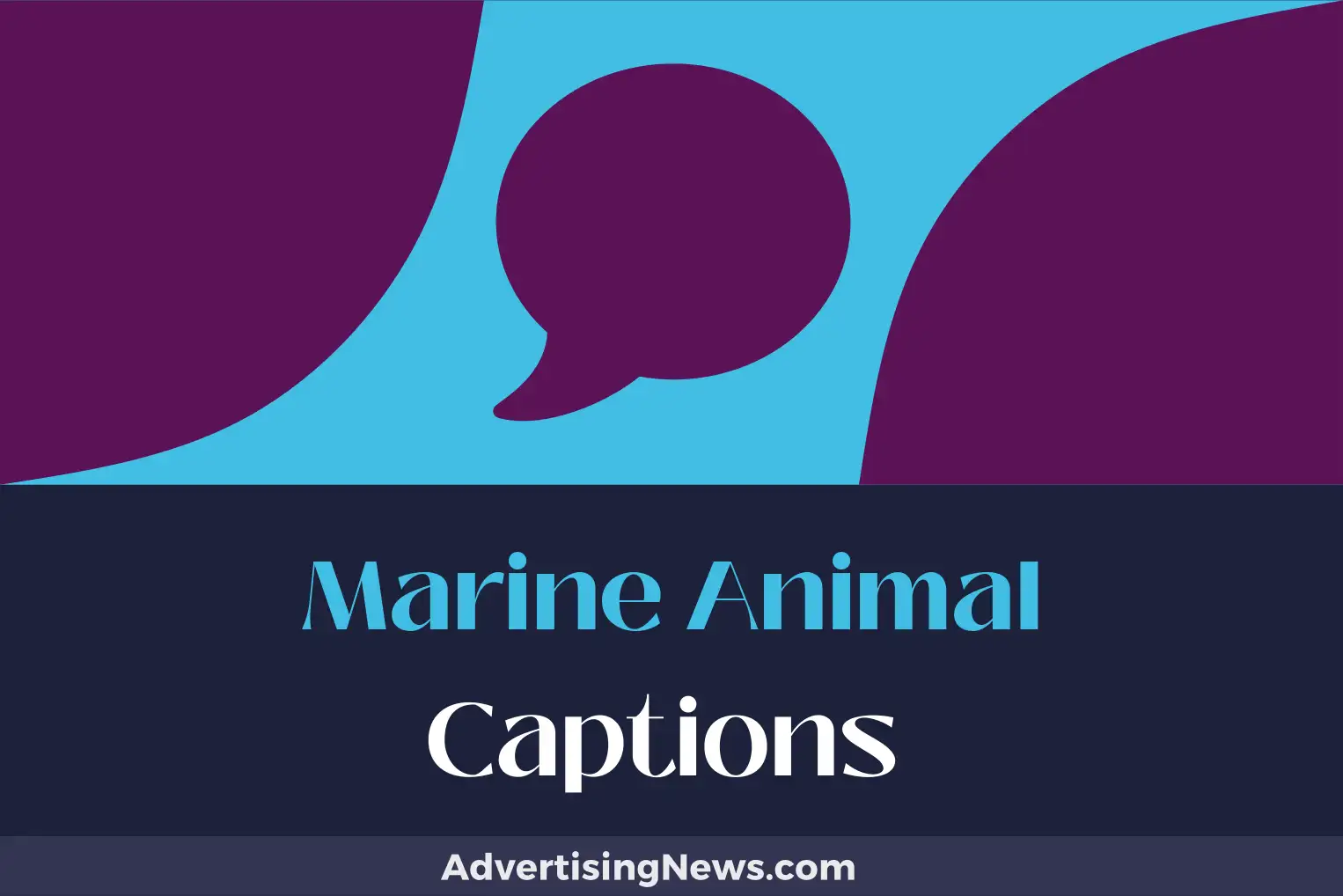 marine animal captions