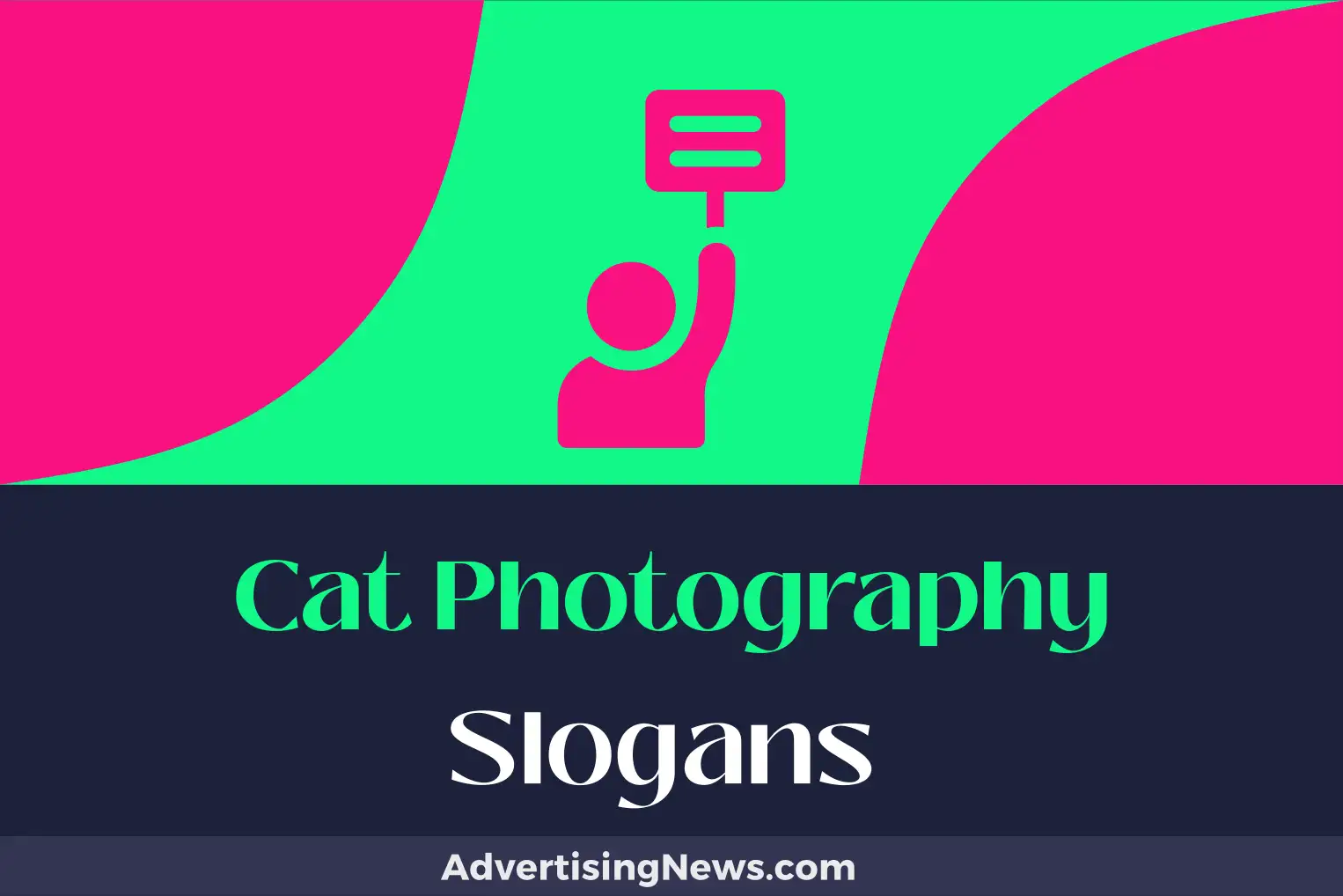 cat photography slogans