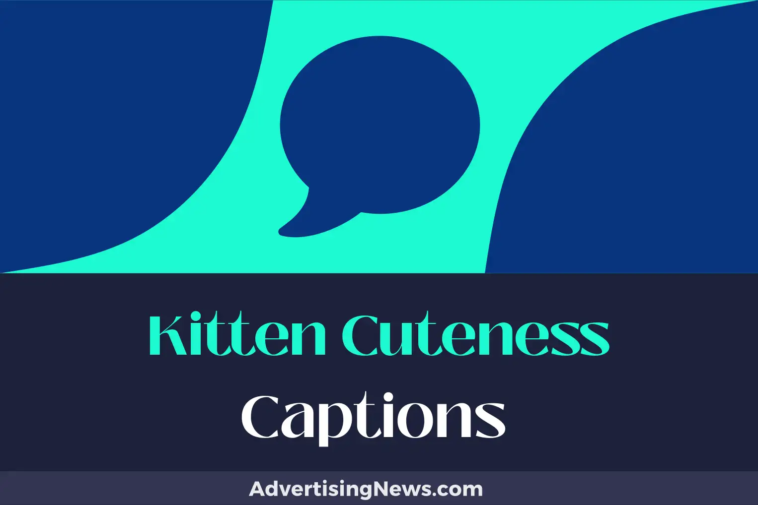 kitten cuteness captions
