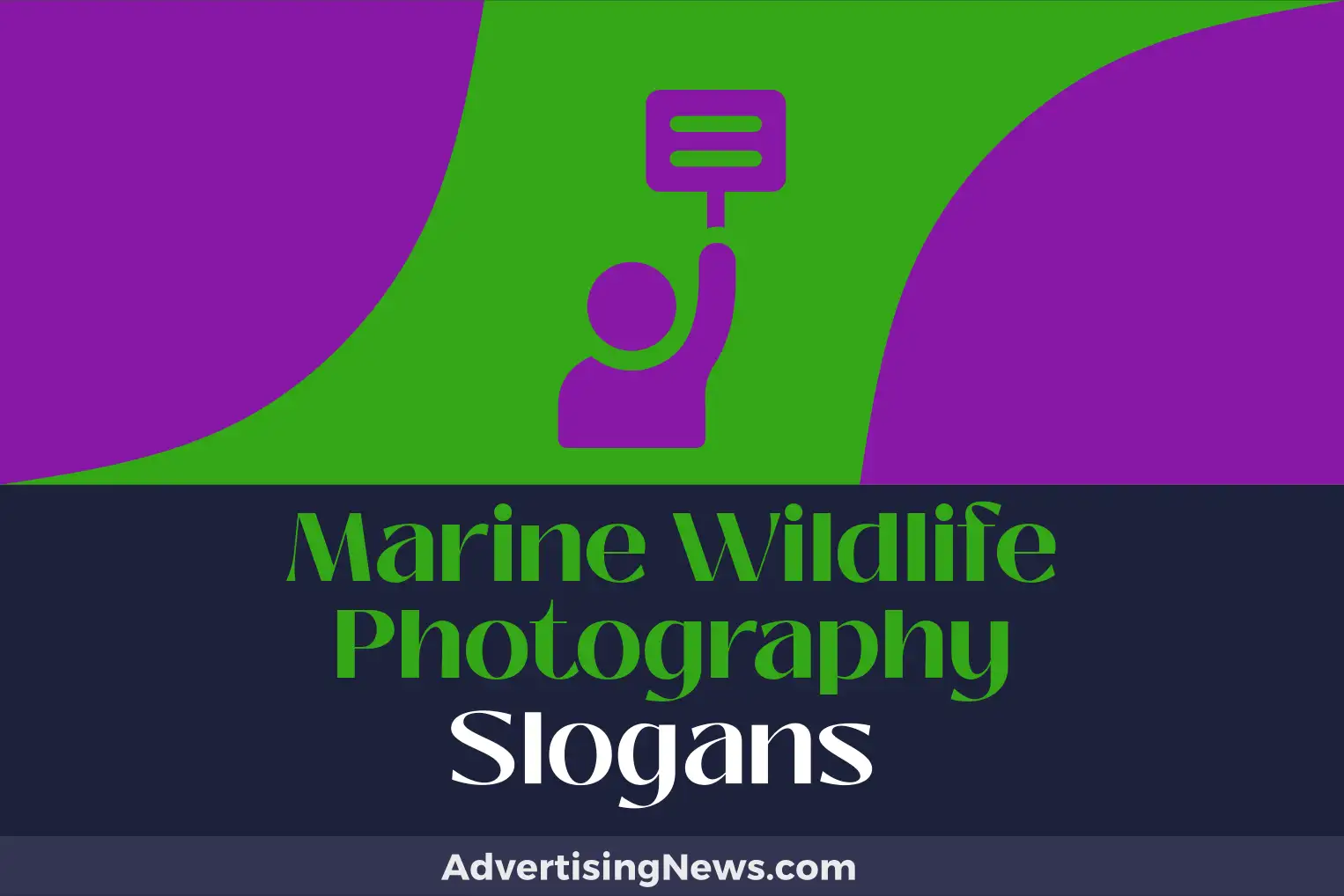 marine wildlife photography slogans